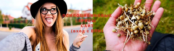 индика Абинск