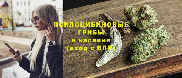 индика Абинск