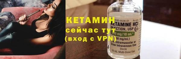 шишки Приозерск