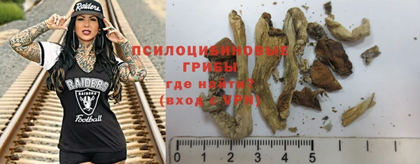 шишки Приозерск