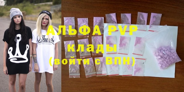шишки Приозерск