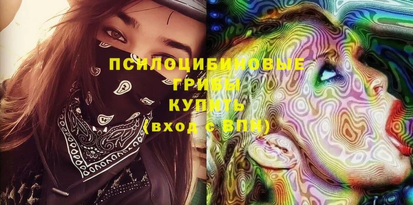 сатива Алзамай